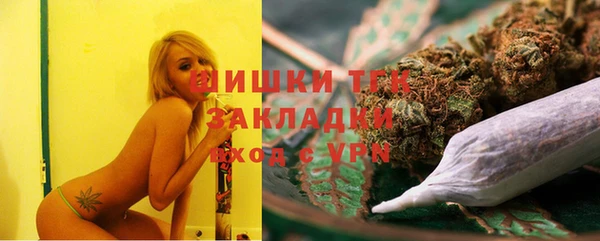 спайс Няндома