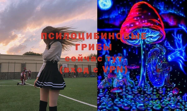 гидра Нягань