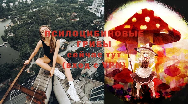 спайс Няндома