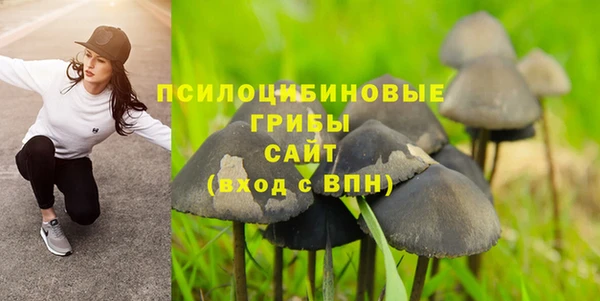 спайс Няндома