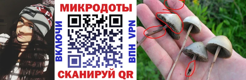 Галлюциногенные грибы MAGIC MUSHROOMS  магазин  наркотиков  Багратионовск 